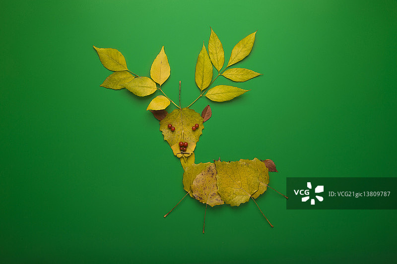 落叶麋鹿图片素材