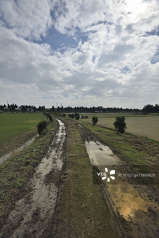 泥泞的乡间路图片素材