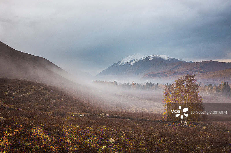 山谷迷雾森林图片素材