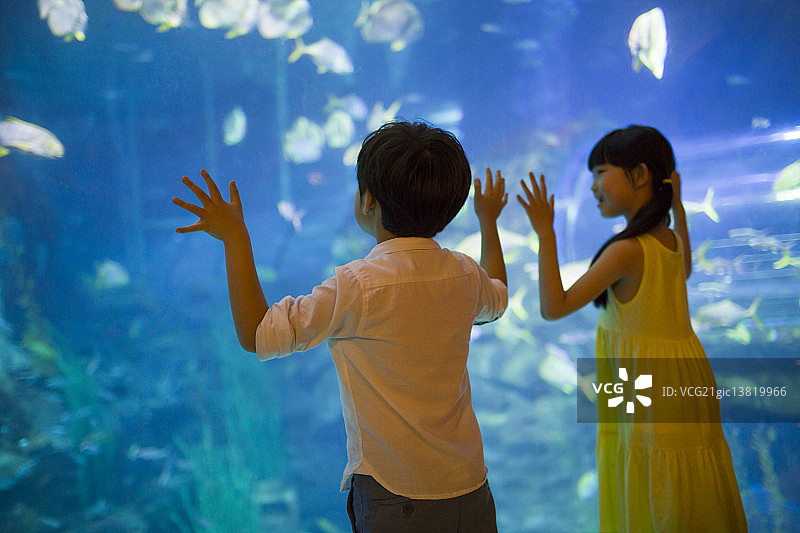 姐弟俩参观海洋馆图片素材