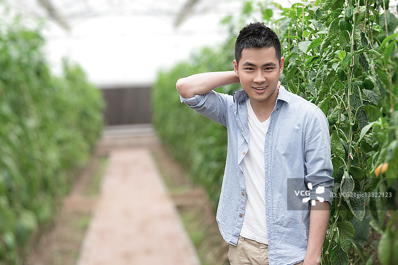 Young man in organic vegetable garden图片素材