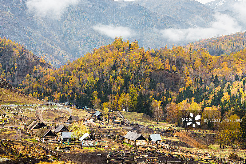秋色森林农庄图片素材