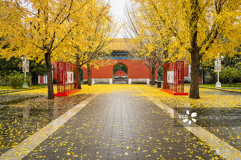 北京中山公园秋色图片素材