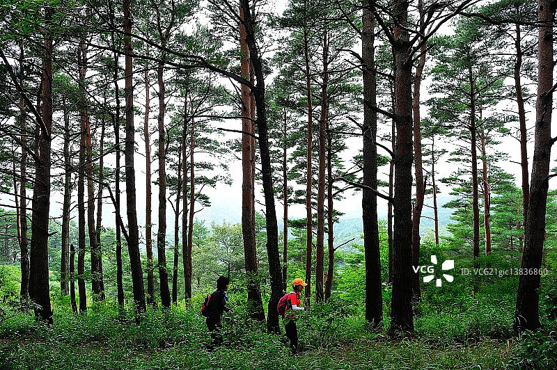 江陵市的巨石路图片素材