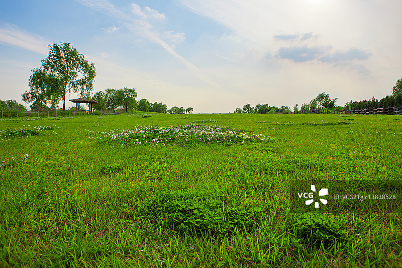 首尔天空公园图片素材
