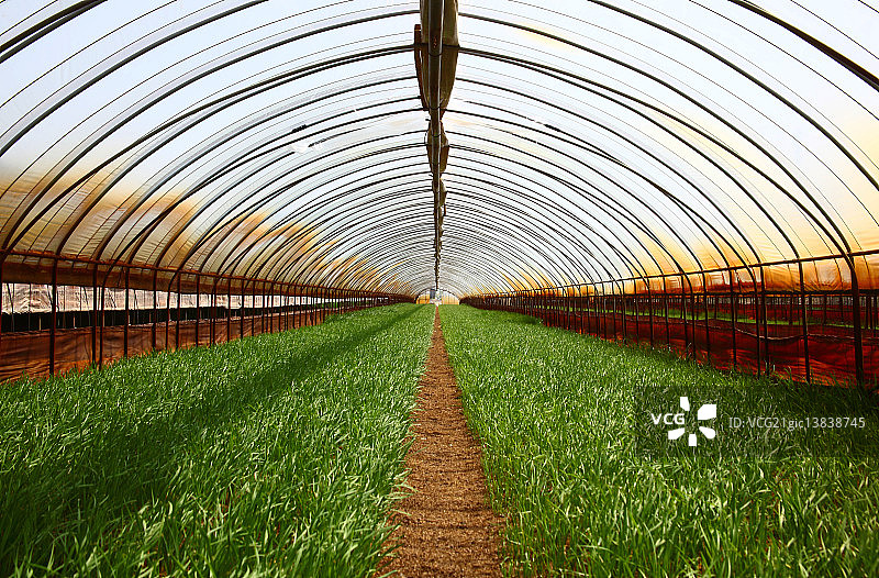 温室图片素材
