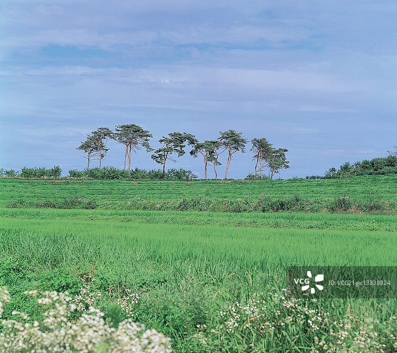 京畿道平泽市图片素材