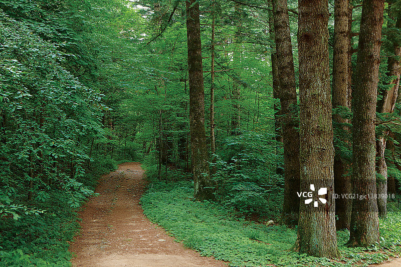 五台山国立公园，平昌，江原道图片素材