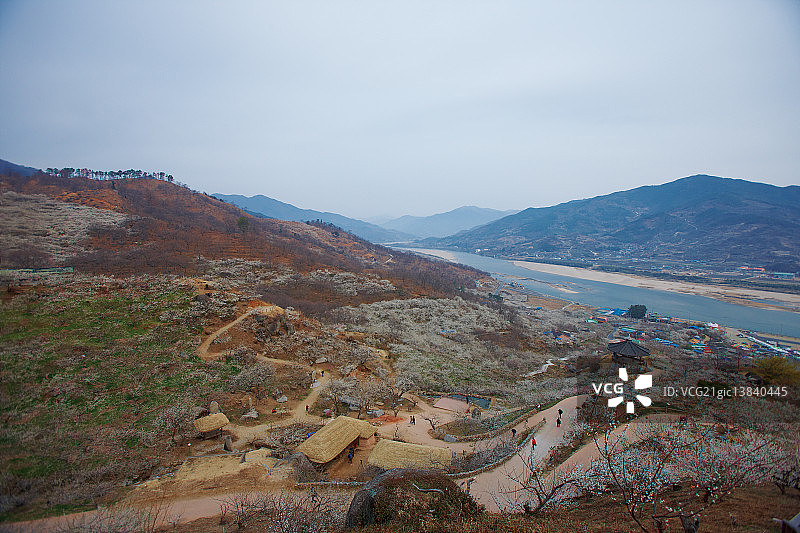光阳梅花村图片素材