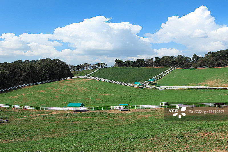 种马公园图片素材