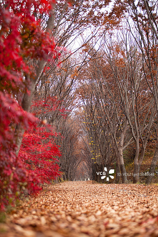 忠清北道堤川市图片素材