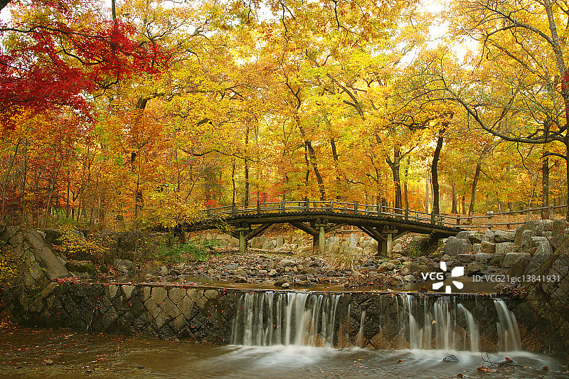 韩国京畿道抱川韩国国立树木园图片素材