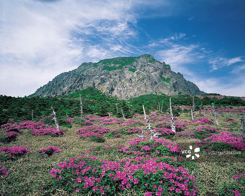 韩国田野风光图片素材