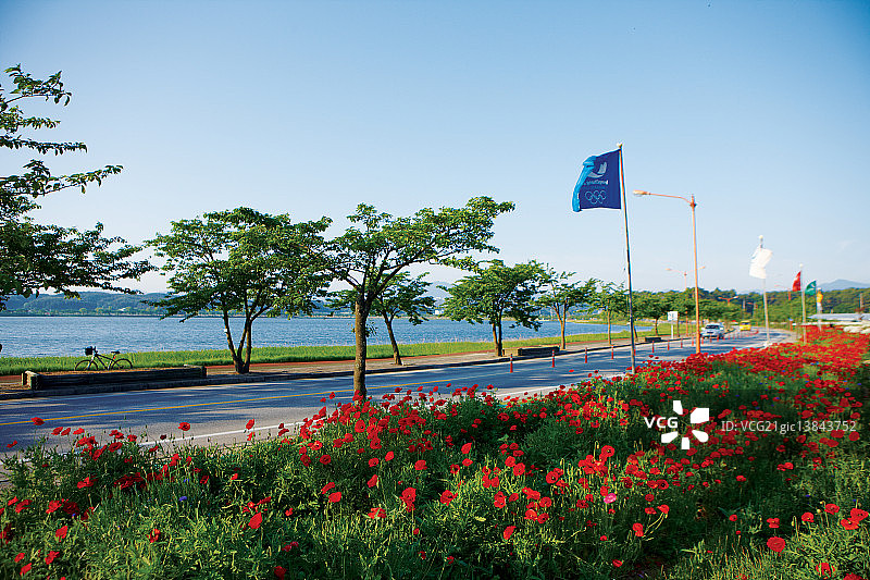江原道江陵镜浦湖风光图片素材