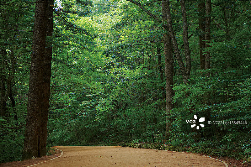 五台山国立公园，平昌，江原道图片素材