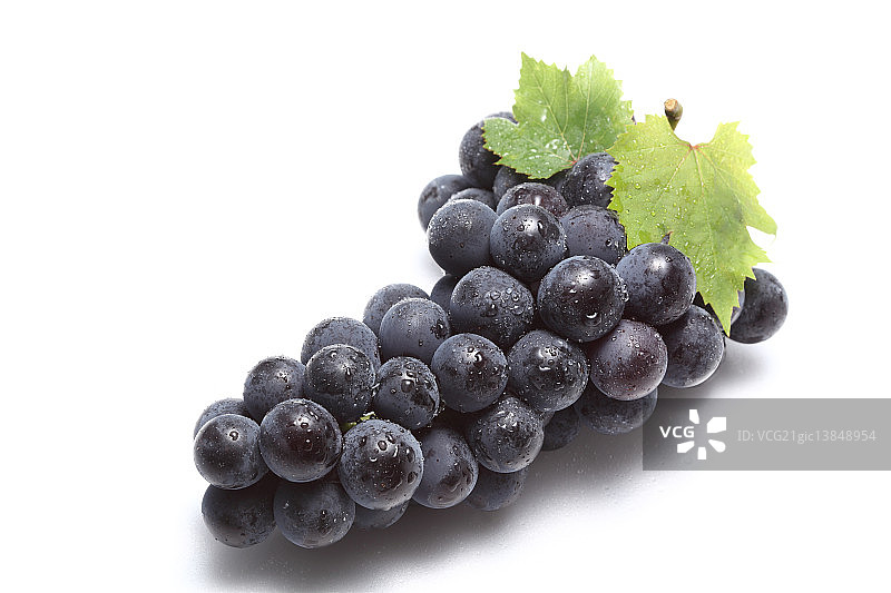 葡萄图片素材
