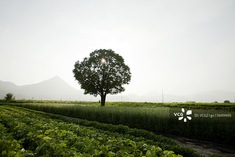 居昌郡, 庆尚南道图片素材