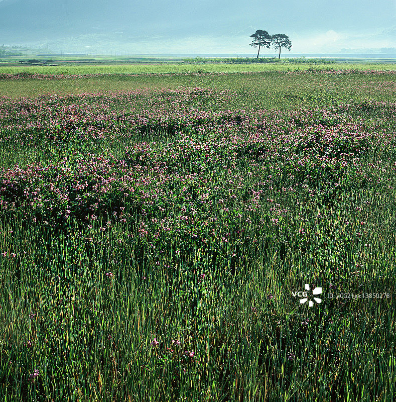 庆尚南道河东郡图片素材