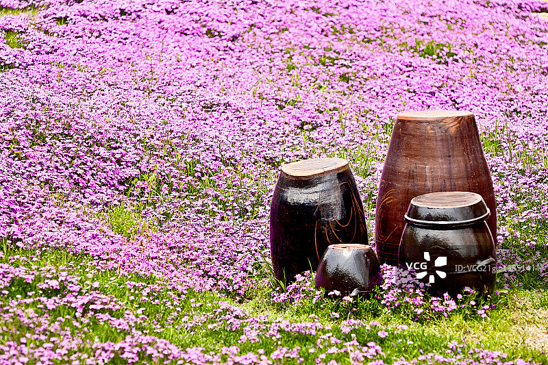 京畿道龙仁市的罐子图片素材