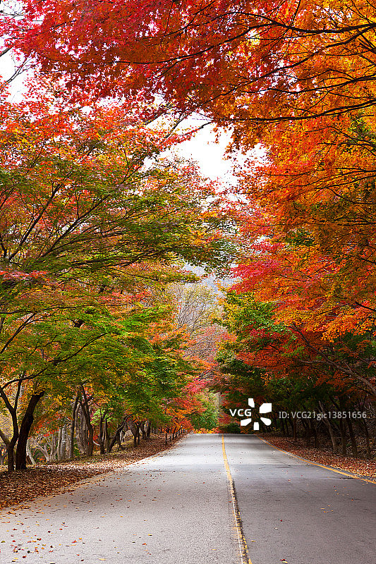 全罗北道井邑市内藏寺图片素材