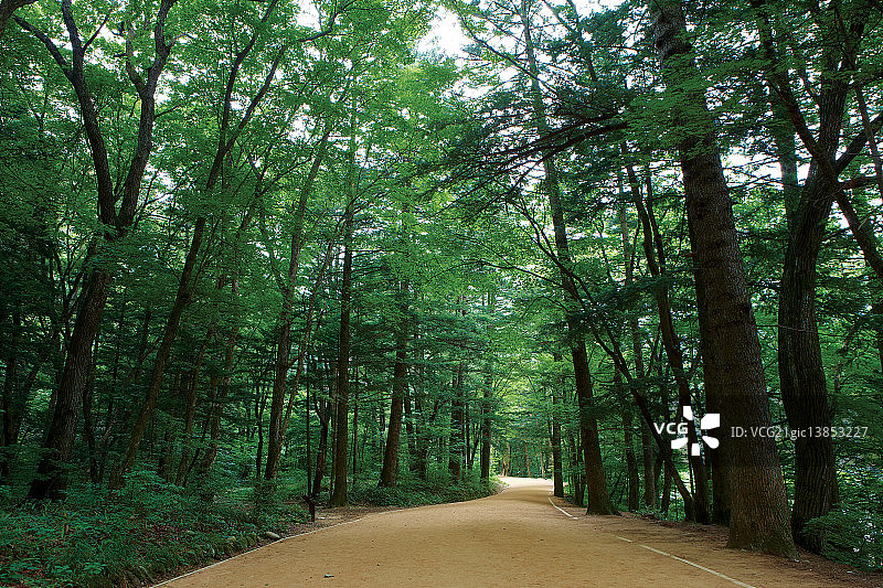 五台山国立公园，平昌，江原道图片素材