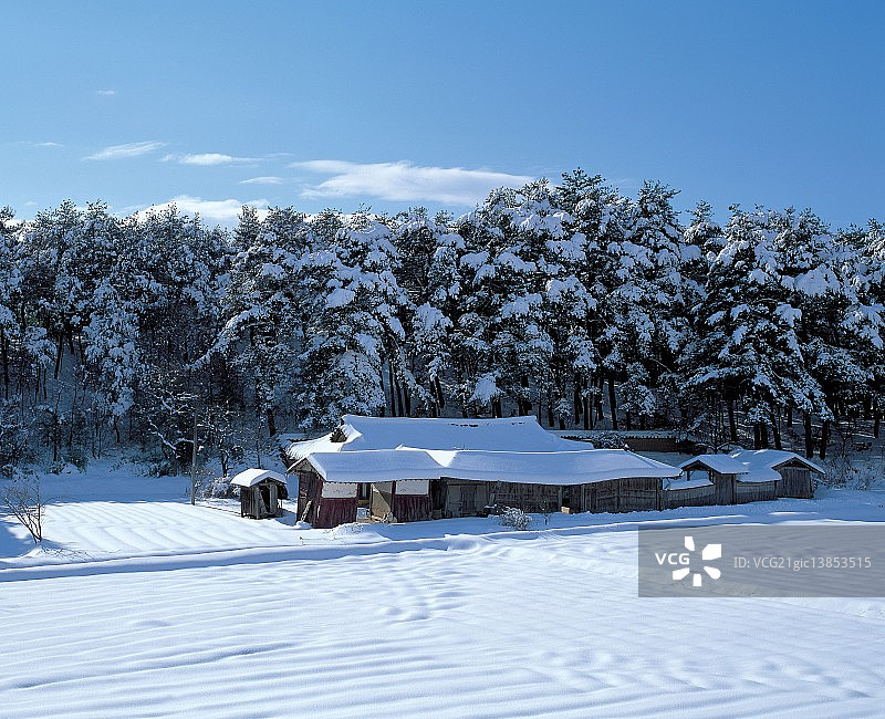 江原道江陵市图片素材