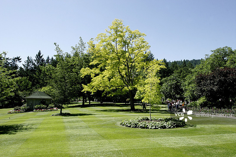 加拿大布查特花园图片素材