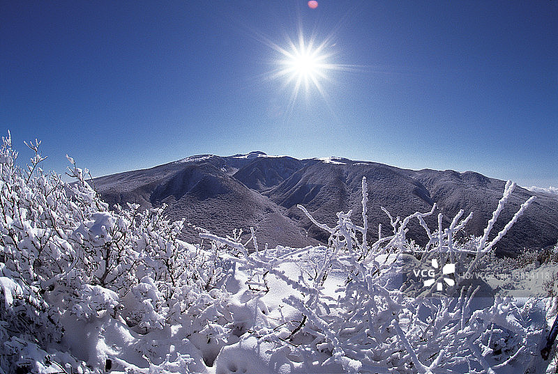 韩国济州岛冬季风光图片素材