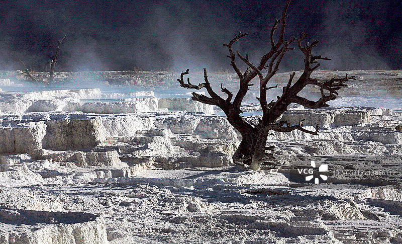 自然荒野区图片素材