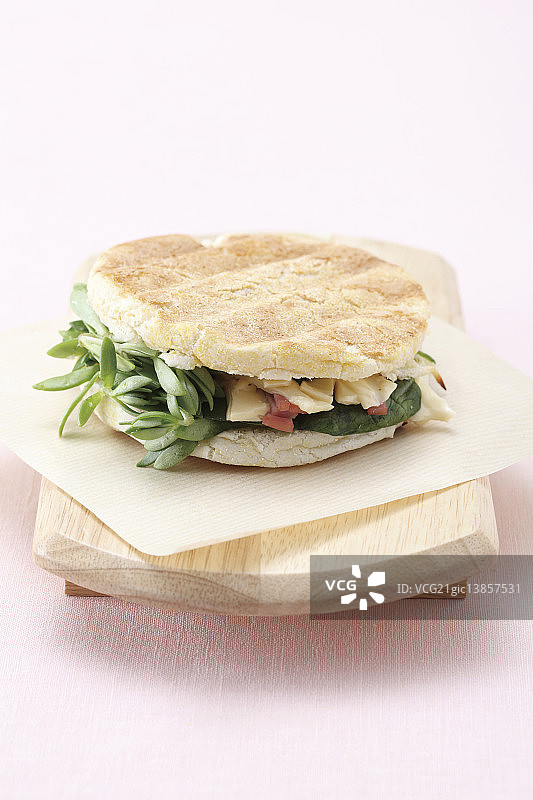 帕尼尼图片素材