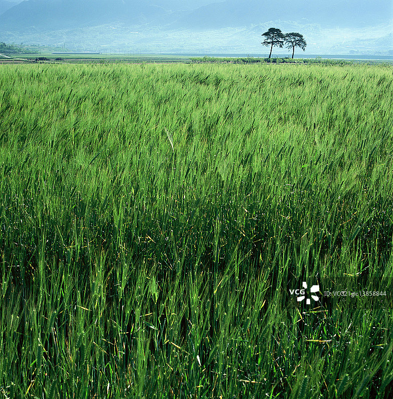 庆尚南道河东郡图片素材