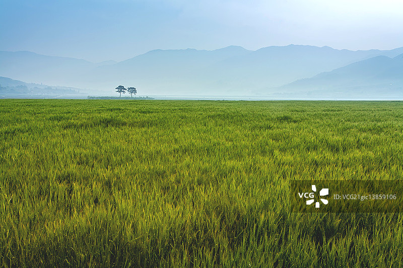 庆尚南道河东郡图片素材