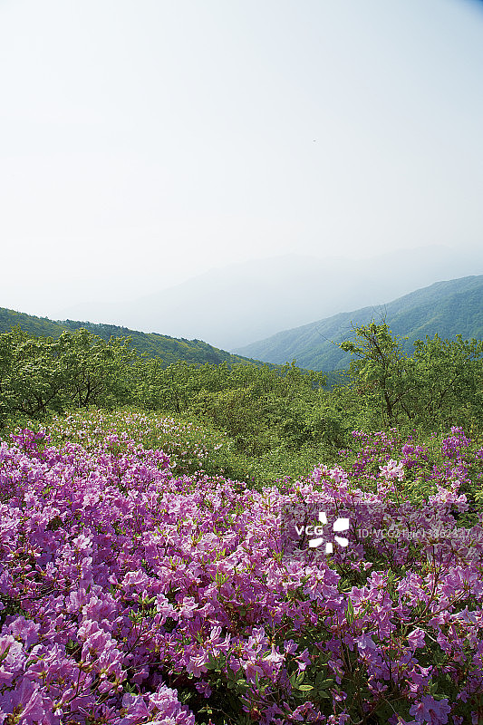 智异山国家公园，全罗北道南原图片素材