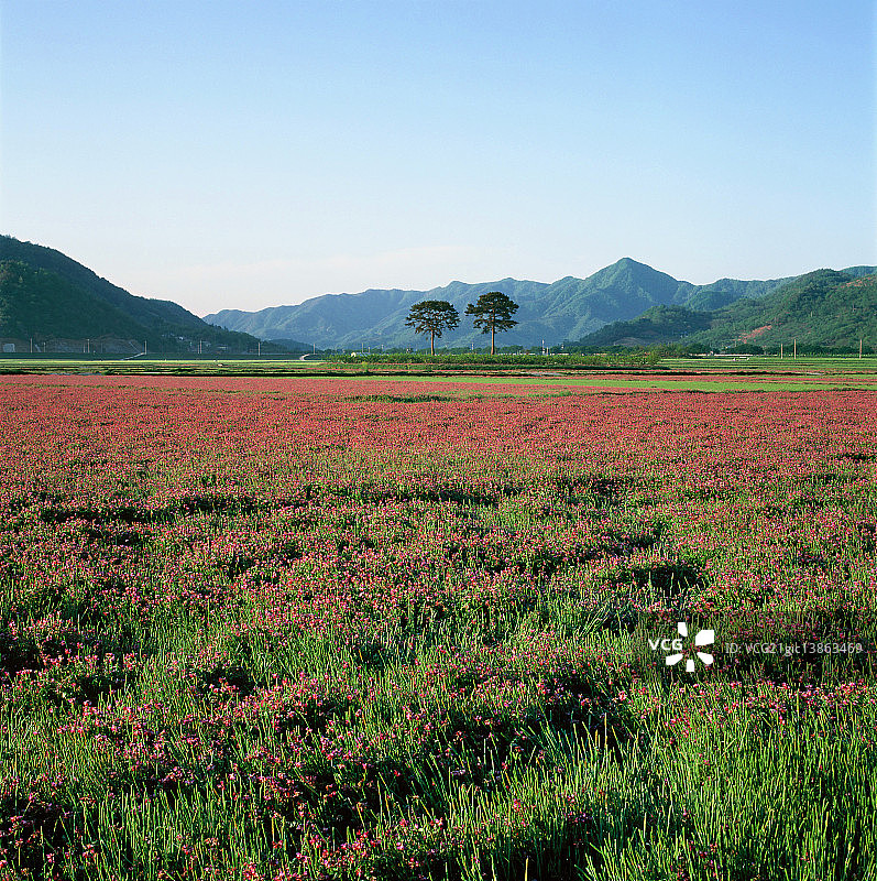 庆尚南道河东郡图片素材
