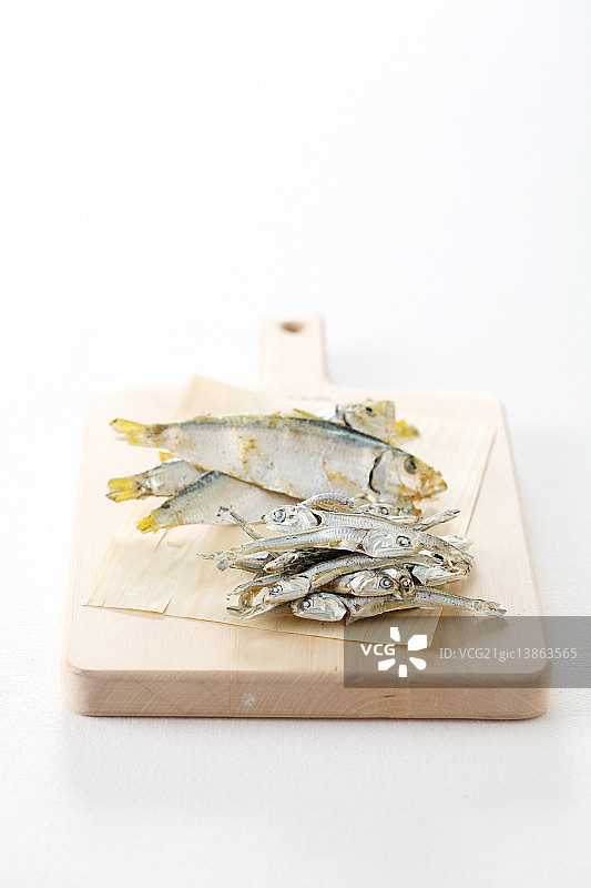 凤尾鱼图片素材