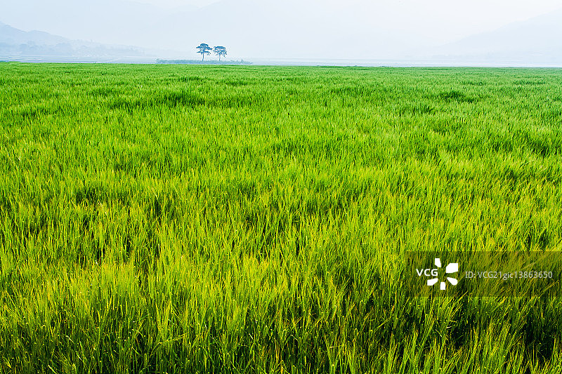 庆尚南道河东郡图片素材