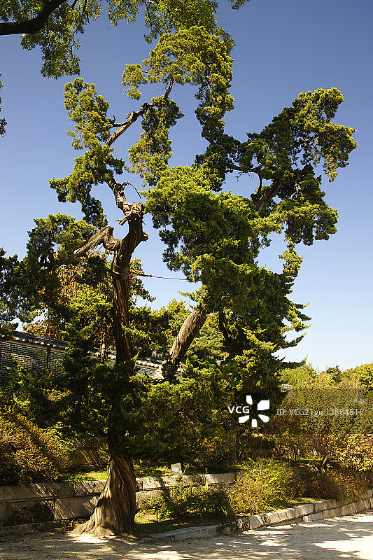 瞻博网络图片素材