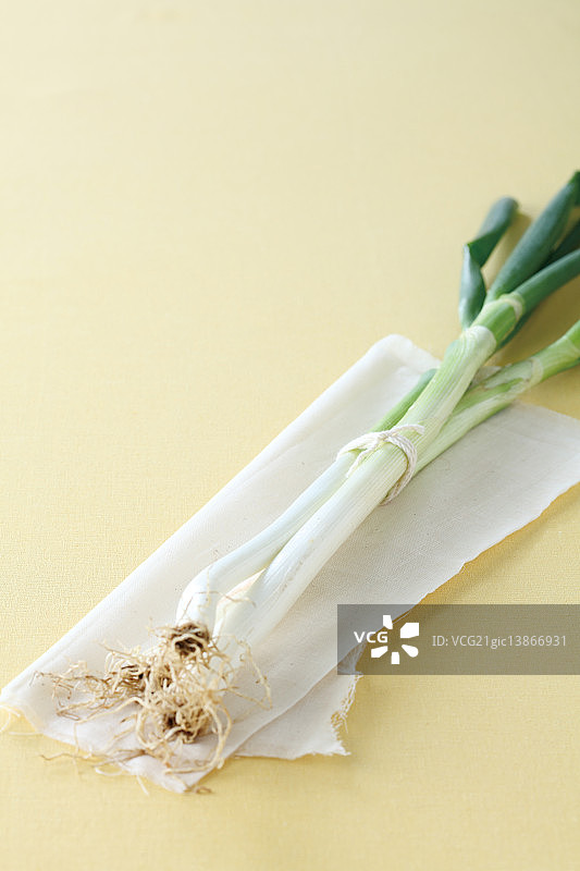 绿洋葱图片素材