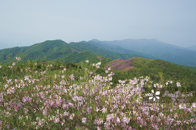 智异山国家公园，全罗北道南原图片素材