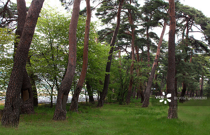 江原道江陵市图片素材