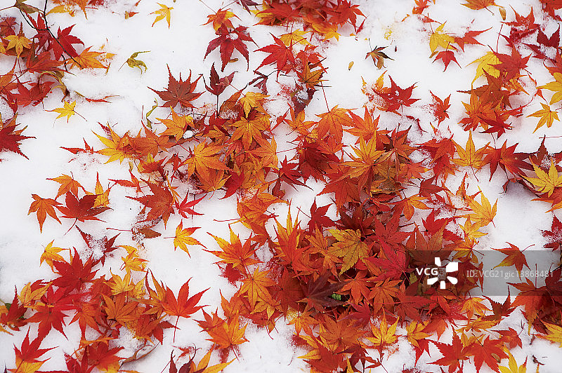 首尔中区南山韩屋村图片素材