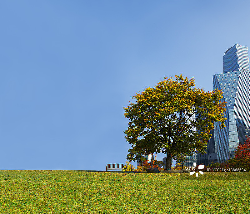 韩国首尔汝矣岛的长椅图片素材