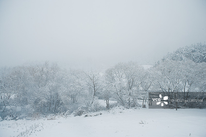 冬季景色，天安市，忠清南道图片素材