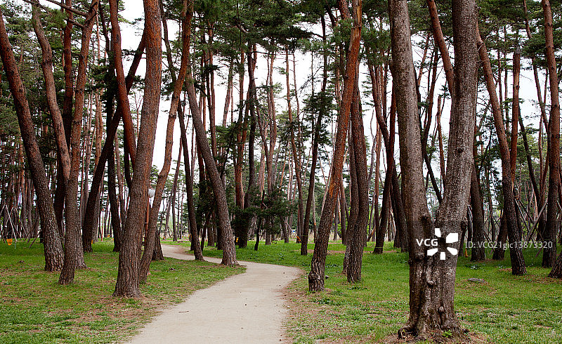 江原道江陵市图片素材