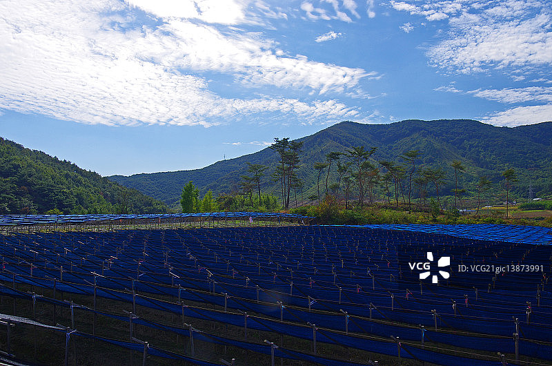 全罗北道井邑市山内面图片素材