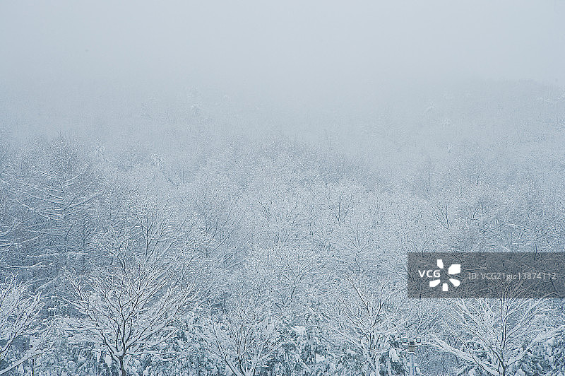 冬季景色，天安市，忠清南道图片素材