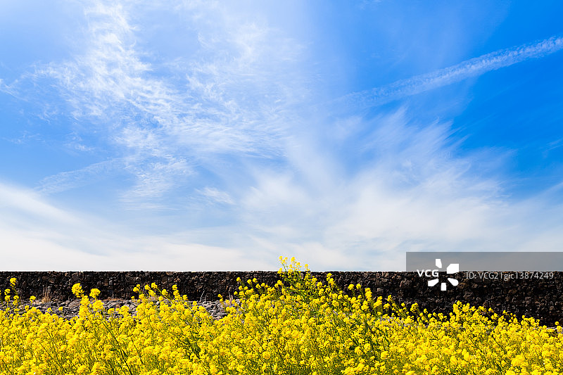 石墙，涉地可支，济州岛图片素材