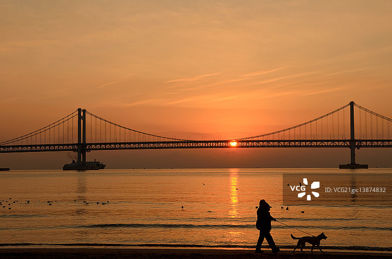 釜山水营区广安大桥图片素材