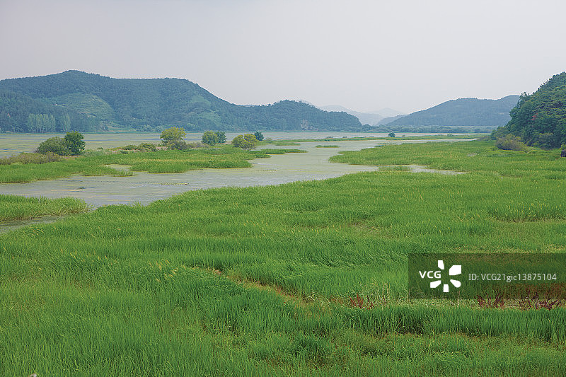 韩国庆尚南道昌宁郡牛浦늪地图片素材