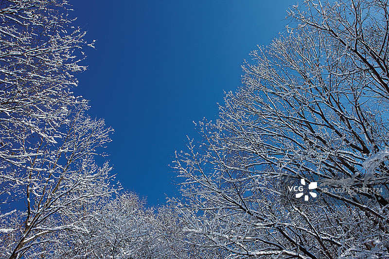 冬季场景：韩国京畿道南杨州市图片素材